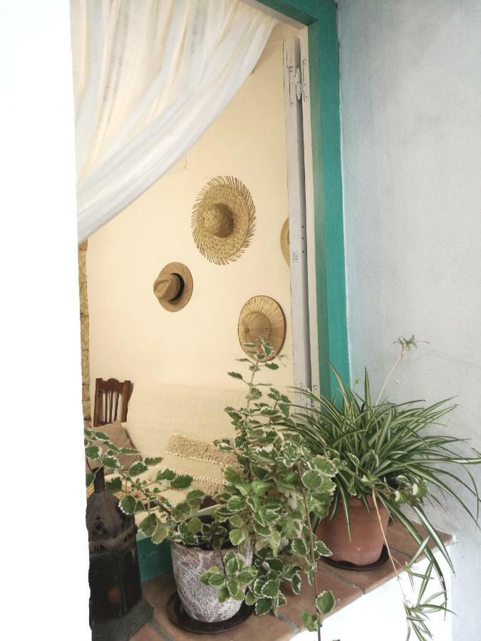 Casa Aguamarina Daire Vejer de la Frontera Dış mekan fotoğraf